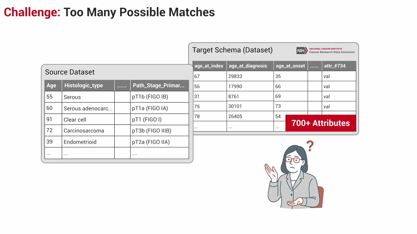 BDIViz video frame illustrating the challenge of matching a source dataset to a schema with more than 700 attributes